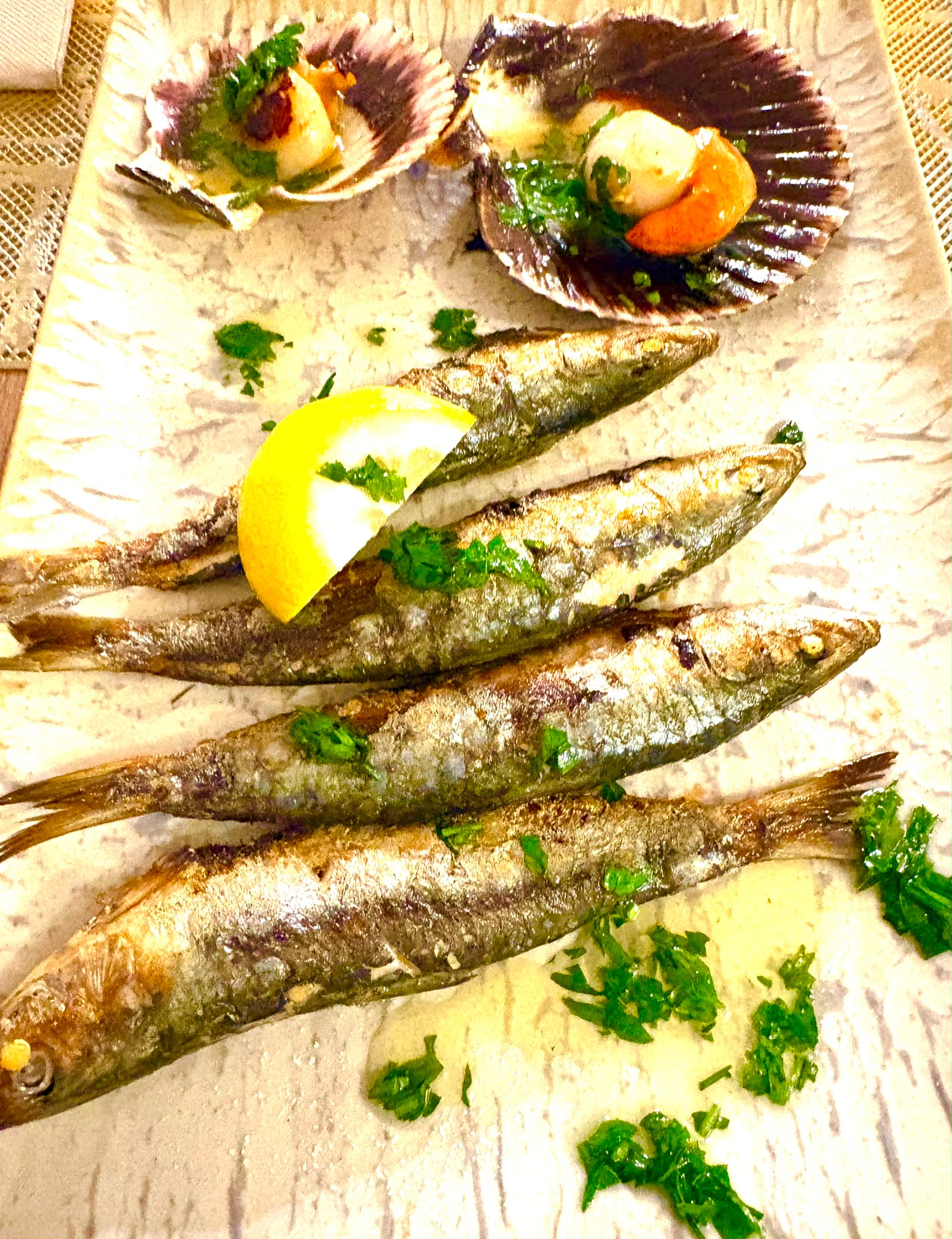 Plato 5